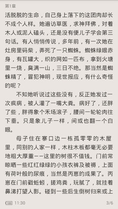 去菲律宾移民局补办签证(移民局业务汇总)